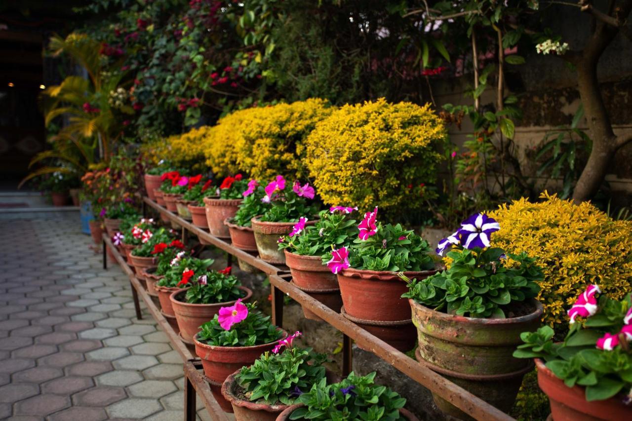 Hotel Orchid Pokhara Exterior photo